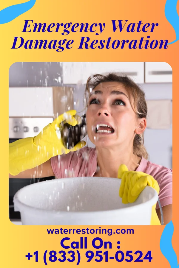 Emergency Water Damage Restoration in Haviland, KS
