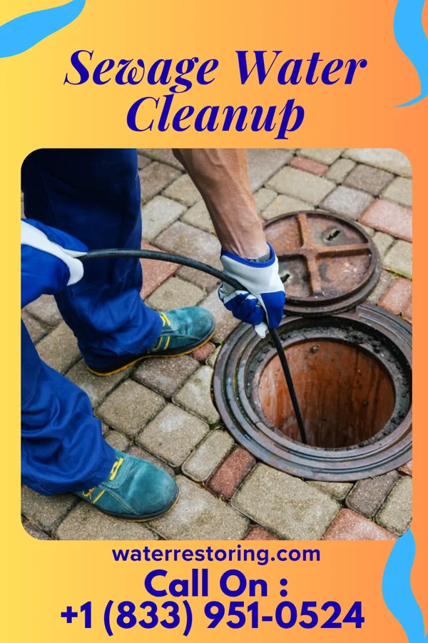 Sewage Water Cleanup in Haviland, KS